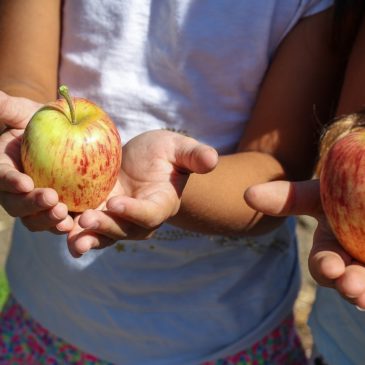 Kaksi lasta käsissä omenat